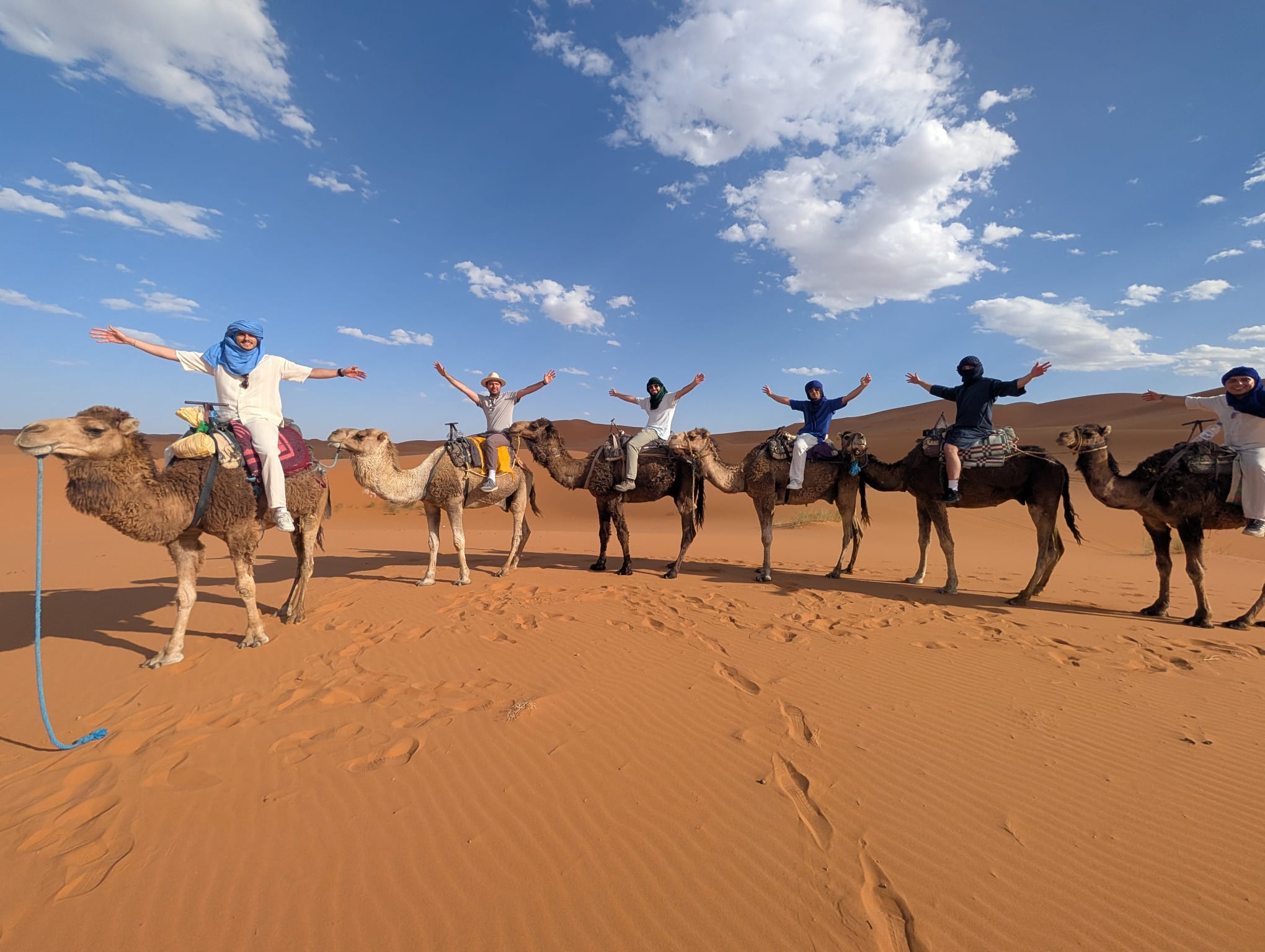 2bf8c57e 141d 4661 9384 ec7d1125f300